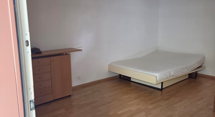 Rent a 2 room studio in Binningen