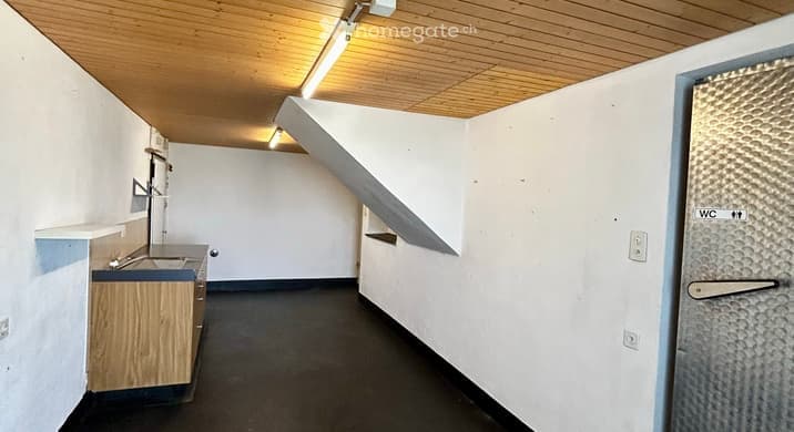 Rent a 2 rooms single house in Amlikon-Bissegg